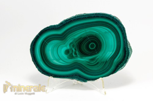 MN2082-3_minerali_collezione_carbonati_malachite_congo.logo