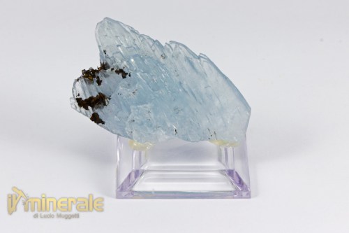 MN2102-2_minerali_collezione_barite_azzurra_marocco.logo