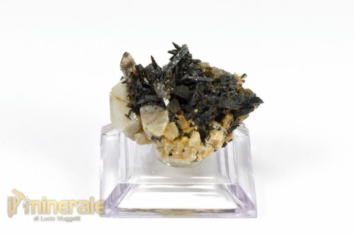 MN2112-2_minerali_collezione_egirina_aegirina_ortoclasio_malawi.logo