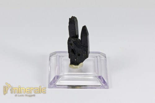 MN2113-2_minerali_collezione_egirina_aegirina_malawi.logo