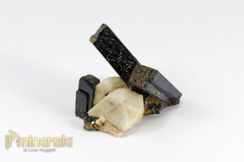 MN2114-2_minerali_collezione_egirina_aegirina_ortoclasio_malawi.logo