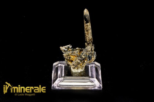 MN2115-1_minerali_collezione_egirina_aegirina_quarzo_affumicato_malawi.logo