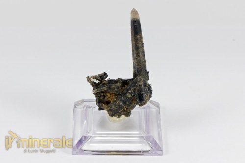 MN2115-2_minerali_collezione_egirina_aegirina_quarzo_affumicato_malawi.logo