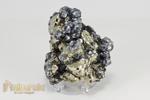 MN2125-2_minerali_collezione_metallici_solfuri_pirite_galena.logo