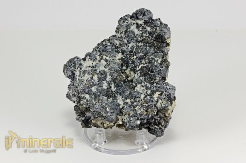 MN2125-4_minerali_collezione_metallici_solfuri_pirite.logo