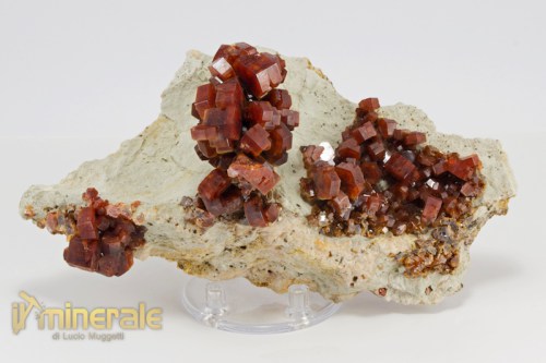 MN2138-2_minerali_collezione_vanadinite_marocco.logo