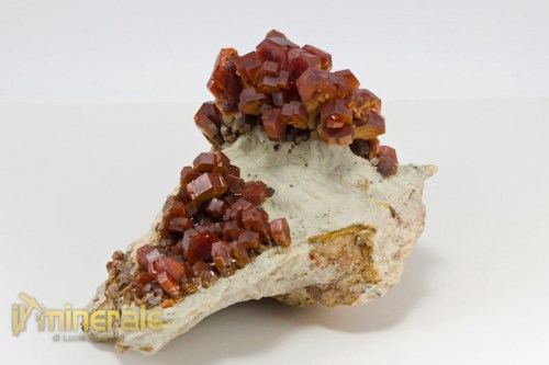MN2138-3_minerali_collezione_vanadinite_marocco.logo
