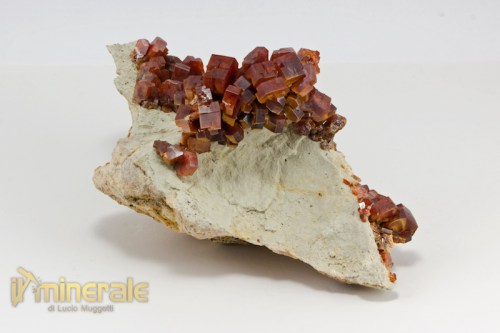 MN2138-4_minerali_collezione_vanadinite_marocco.logo