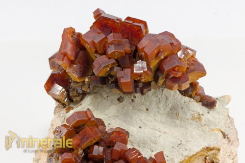 MN2138-5_minerali_collezione_vanadinite_marocco.logo
