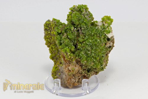 MN2143-2_minerali_collezione_piromorfite_cina.logo