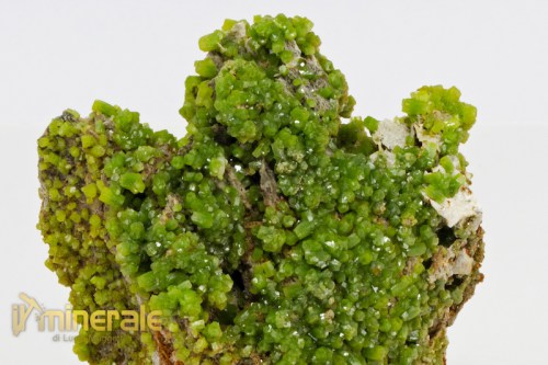 MN2143-3_minerali_collezione_piromorfite_cina.logo