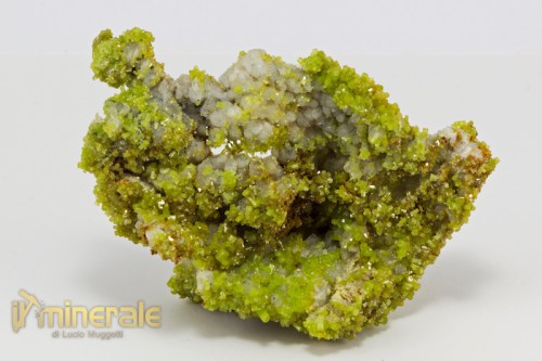 MN2144-2_minerali_collezione_piromorfite_cina.logo