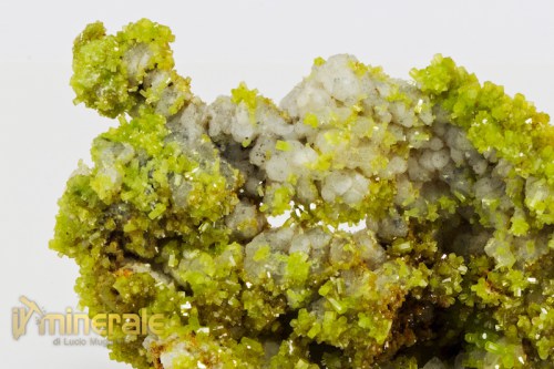 MN2144-4_minerali_collezione_piromorfite_cina.logo