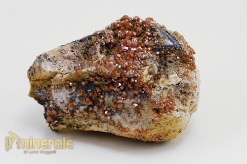 MN224-2_minerali_collezione_vanadinite_marocco.logo