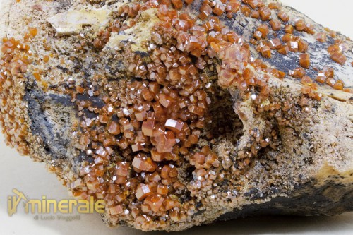 MN224-3_minerali_collezione_vanadinite_marocco.logo