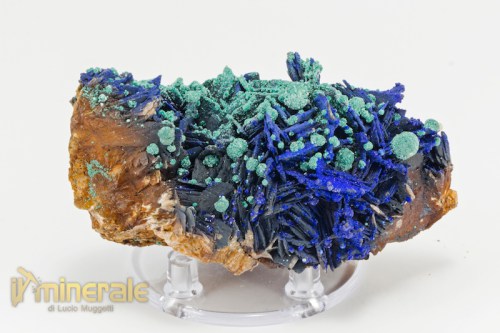 MN2247-2_minerali_collezione_carbonati_azzurrite_malachite.logo