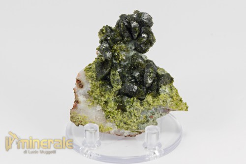 MN2256-2_minerali_collezione_epidoto_cina.logo