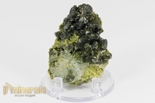 MN2257-2_minerali_collezione_epidoto_cina.logo