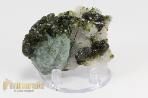 MN2258-2_minerali_collezione_epidoto_cina.logo