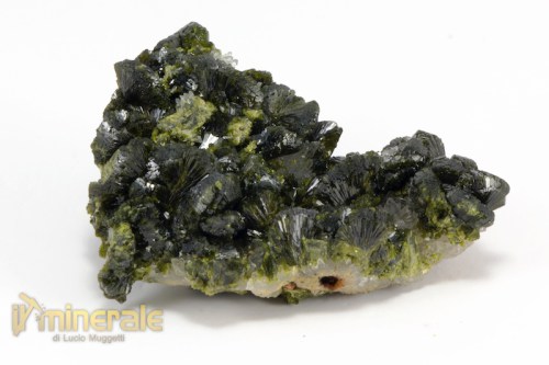 MN2259-2_minerali_collezione_epidoto_cina.logo