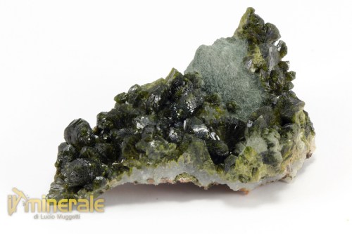 MN2261-2_minerali_collezione_epidoto_cina.logo