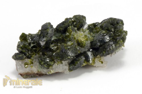 MN2264-2_minerali_collezione_epidoto_cina.logo