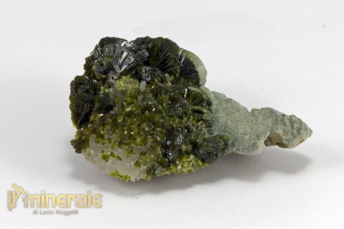 MN2265-2_minerali_collezione_epidoto_cina.logo