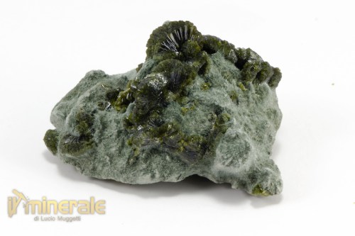 MN2266-2_minerali_collezione_epidoto_cina.logo