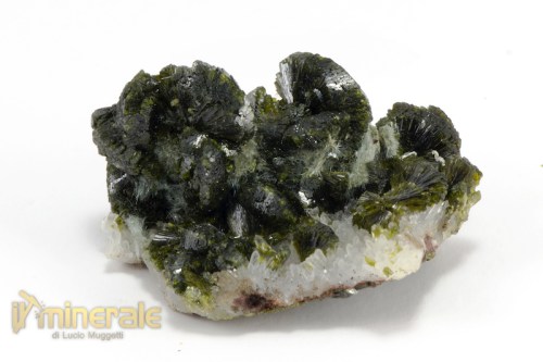 MN2267-2_minerali_collezione_epidoto_cina.logo