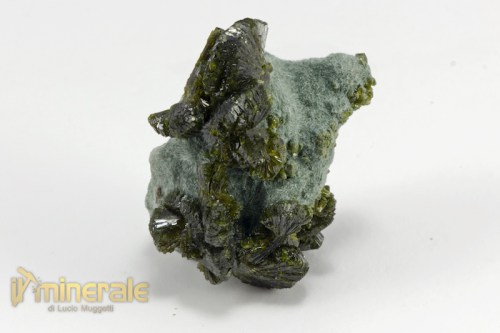 MN2270-2_minerali_collezione_epidoto_cina.logo