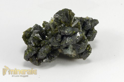 MN2271-2_minerali_collezione_epidoto_cina.logo