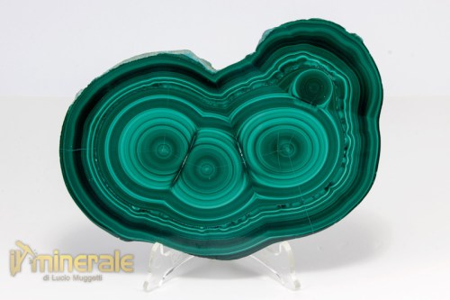 MN2300-2_minerali_collezione_arredamento_carbonati_malachite_congo.logo