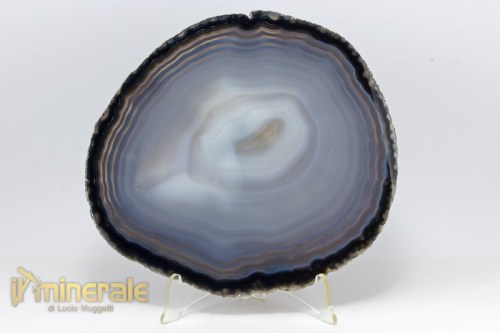 MN2310-2_minerali_collezione_oggetti_lavorati_fette_agata.logo
