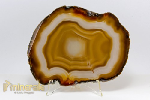 MN2311-2_minerali_collezione_oggetti_lavorati_fette_agata.logo