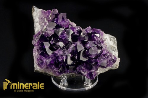 MN2326-1_minerali_collezione_arredamento_silicati_ametista_uruguay.logo