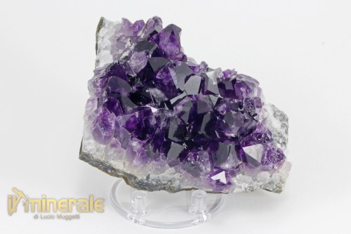 MN2326-2_minerali_collezione_arredamento_silicati_ametista_uruguay.logo