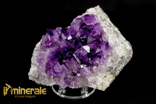 MN2332-1_minerali_collezione_arredamento_silicati_ametista_uruguay.logo