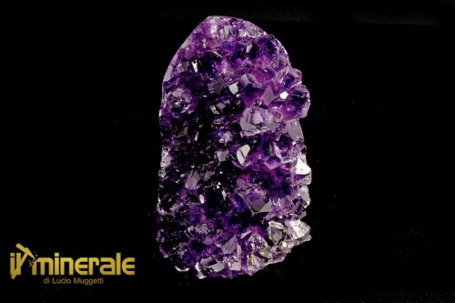 MN2335-1_minerali_collezione_arredamento_silicati_ametista_uruguay.logo