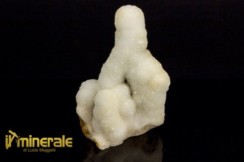 MN2351-1_minerali_collezione_cristalloterapia_quarzo_cactus.logo