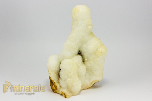 MN2351-2_minerali_collezione_cristalloterapia_quarzo_cactus.logo