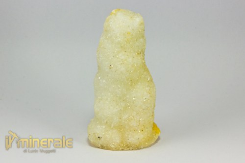 MN2352-2_minerali_collezione_cristalloterapia_quarzo_cactus.logo