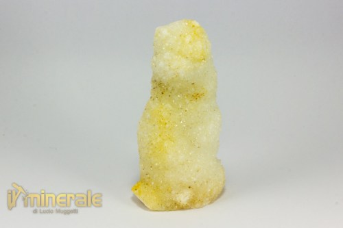 MN2352-3_minerali_collezione_cristalloterapia_quarzo_cactus.logo