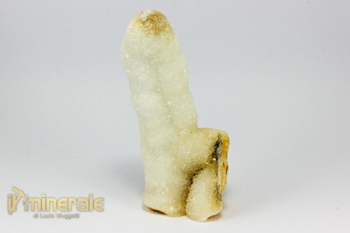 MN2353-2_minerali_collezione_cristalloterapia_quarzo_cactus.logo