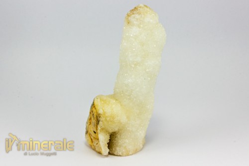 MN2353-3_minerali_collezione_cristalloterapia_quarzo_cactus.logo