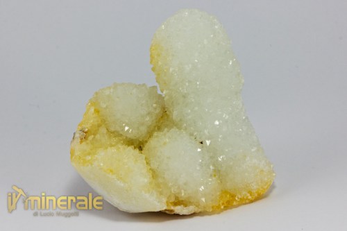 MN2354-2_minerali_collezione_cristalloterapia_quarzo_cactus.logo