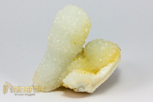 MN2354-3_minerali_collezione_cristalloterapia_quarzo_cactus.logo