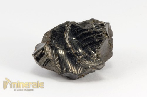 MN2369-2_minerali_collezione_cristalloterapia_carbonio_shungite_russia.logo