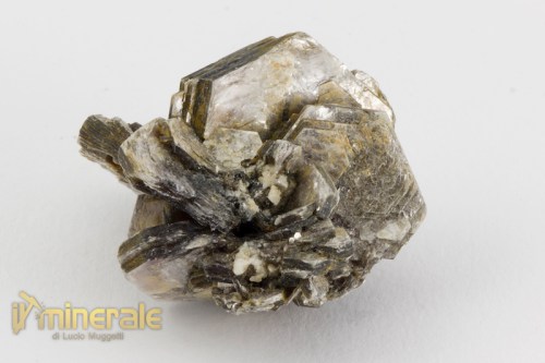 MN2372-3_minerali_collezione_silicati_mica_muscovite.logo