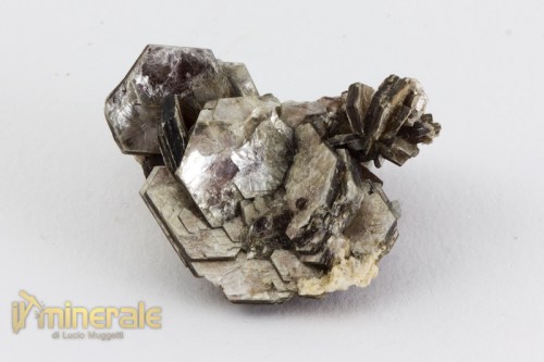 MN2375-3_minerali_collezione_silicati_mica_muscovite.logo