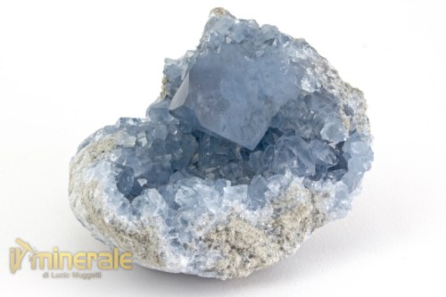 MN2378-2_minerali_collezione_cristalli_solfati_celestina.logo